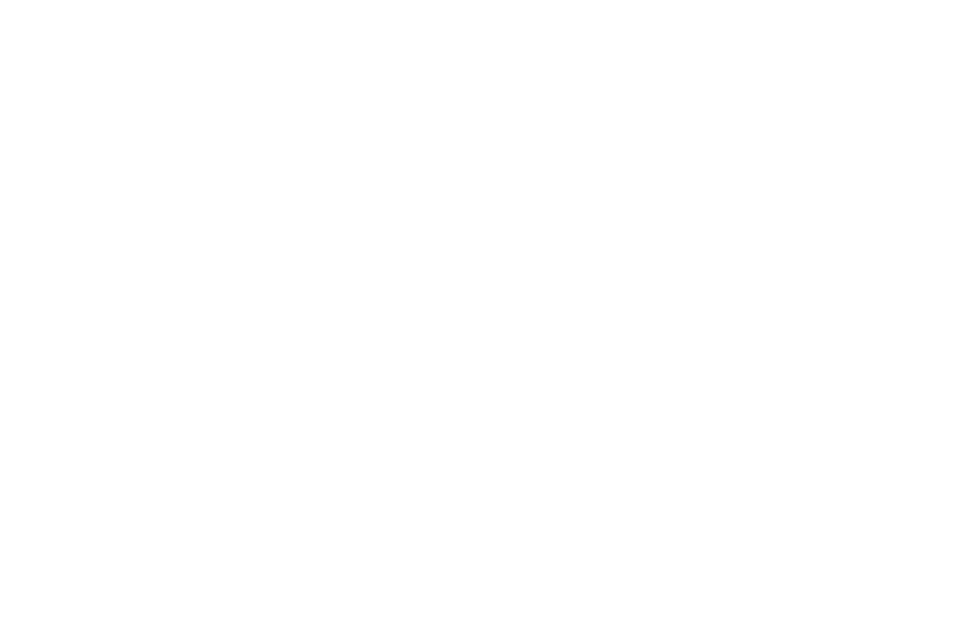 W and Partners &mdash; Luxury Real Estate Firm